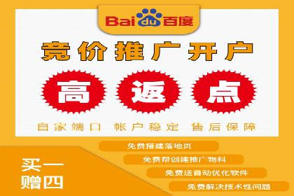 某电商平台信息流竞价策略及成效分析